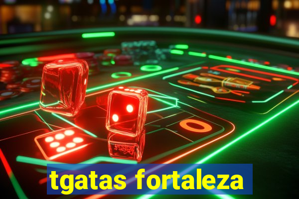 tgatas fortaleza